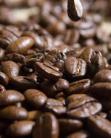 2011-10-04 Kaffeprovning 