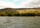 2011-06-20 Vinprovning, Tysk Riesling 