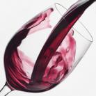 2012-04-19 Exklusiv mingelvinprovning med Vin Selekt 